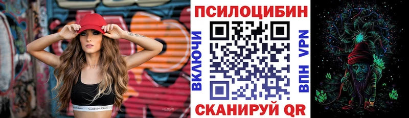 Псилоцибиновые грибы MAGIC MUSHROOMS  купить наркотик  Елабуга 