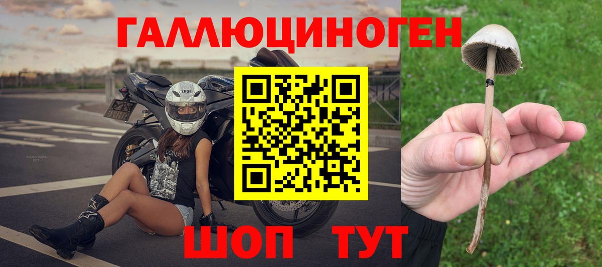 Галлюциногенные грибы прущие грибы  Вход с VPN  Елабуга  Псилоцибиновые грибы Magic Shrooms 
